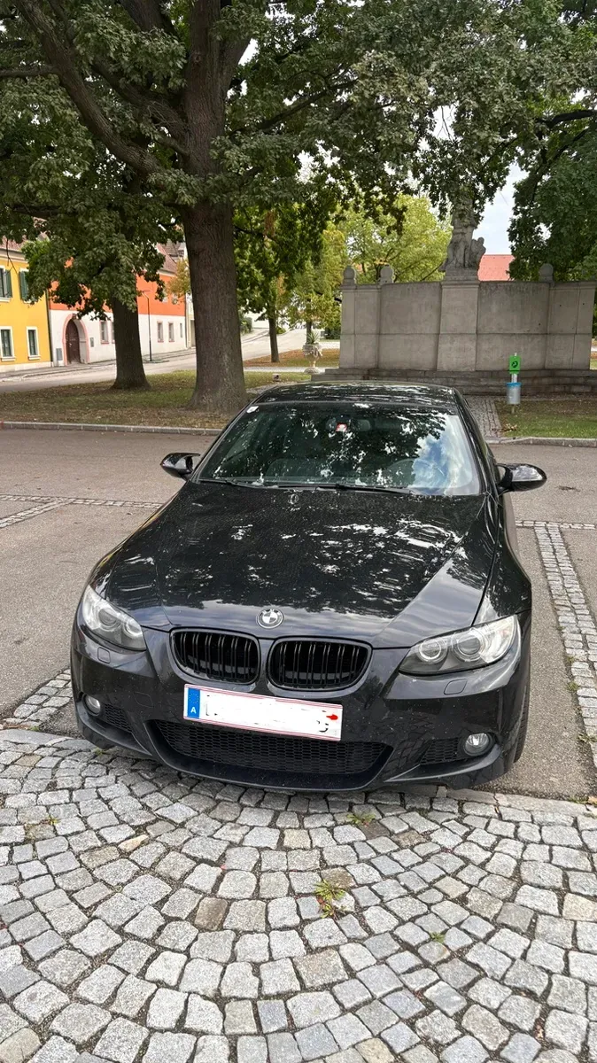 BMW 3 Series 2010 photo 2