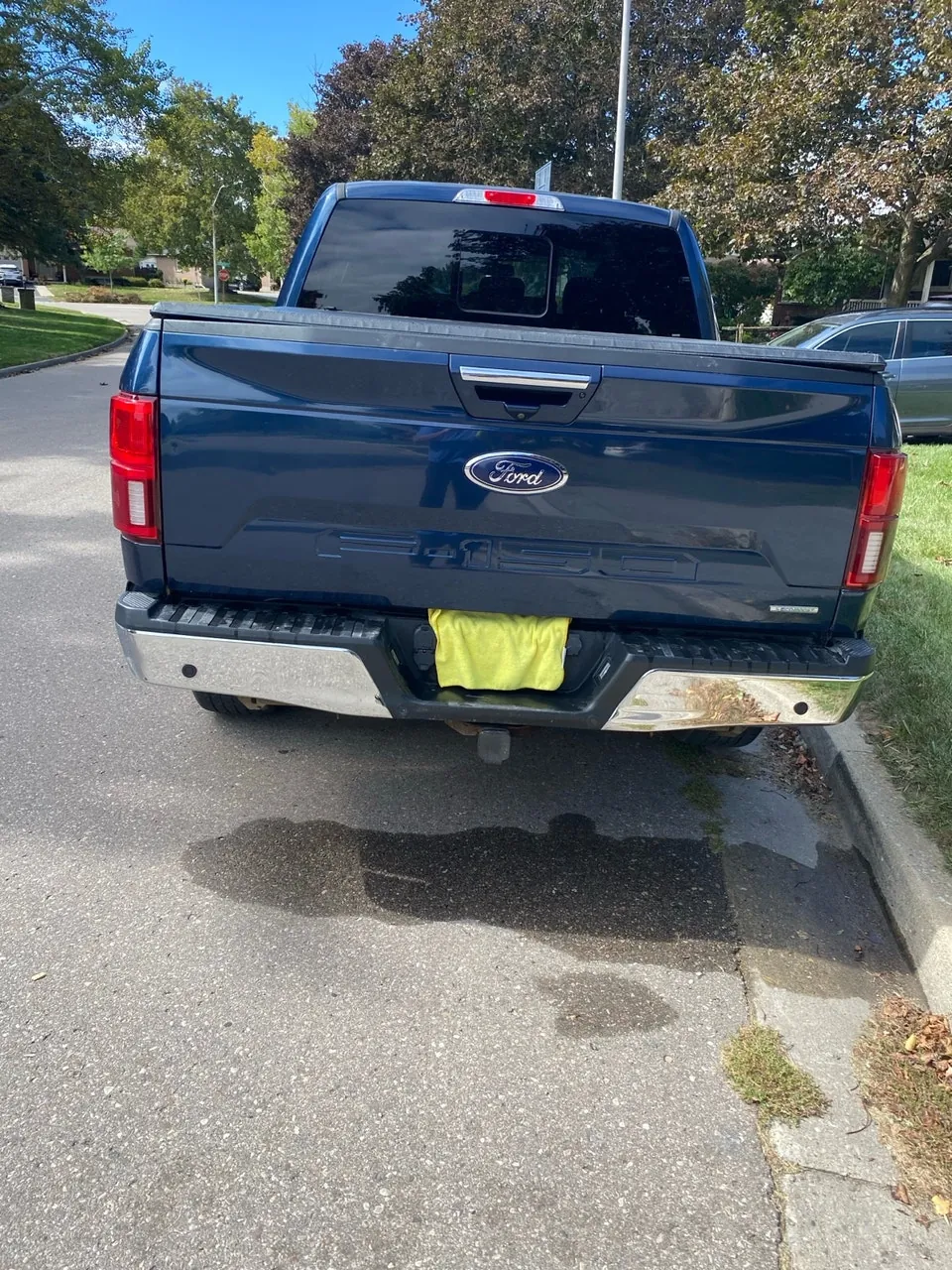 Ford F-150 2019 photo 4