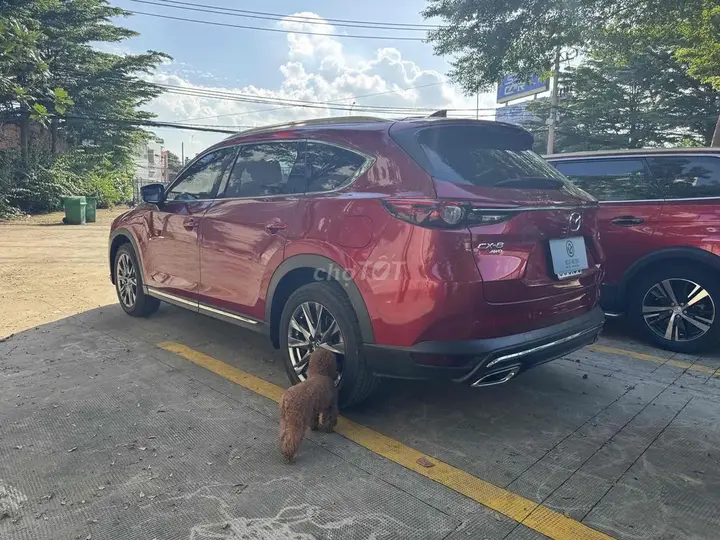 Mazda Cx-8 2020 photo 4