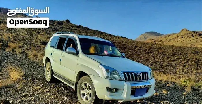 Toyota Prado 2003 photo 5