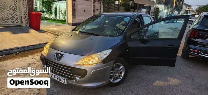 Peugeot 307 2005 photo 5