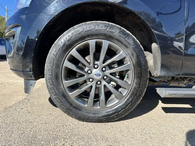 Ford Expedition 2020 photo 3