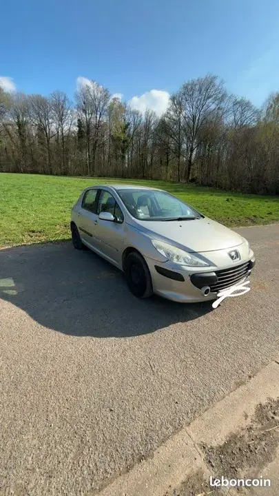 Peugeot 307 2006 photo 2