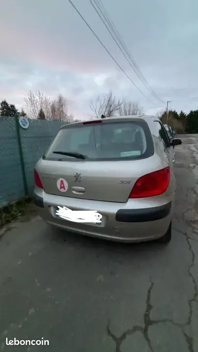 Peugeot 307 2006 photo 3