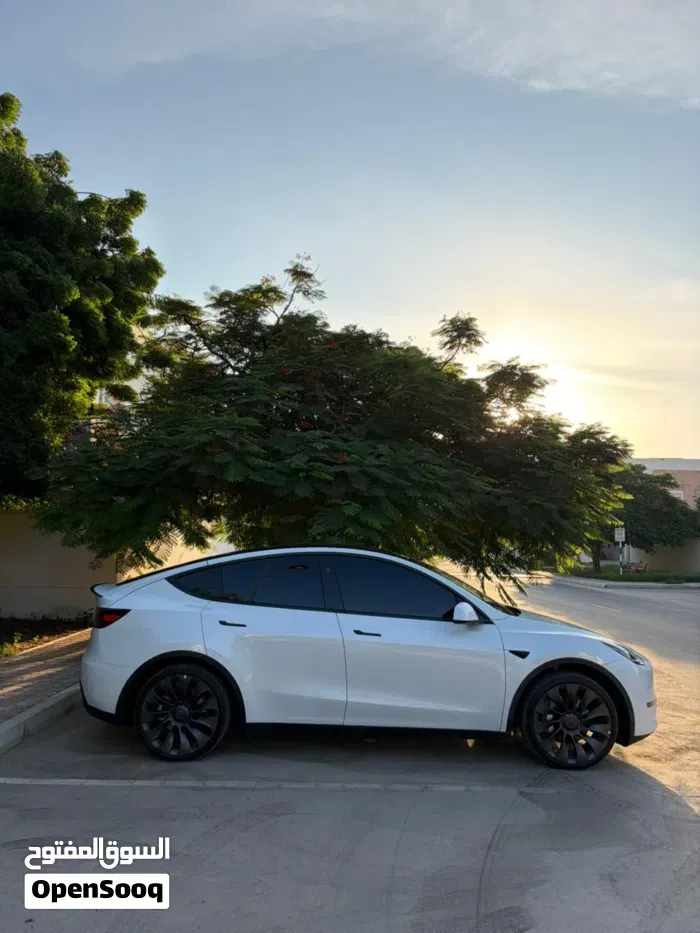 Tesla Model Y 2024 photo 4