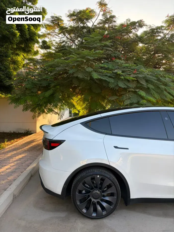 Tesla Model Y 2024 photo 2