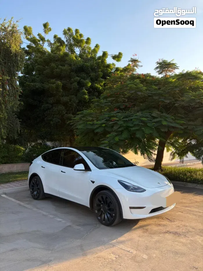 Tesla Model Y 2024 photo 3