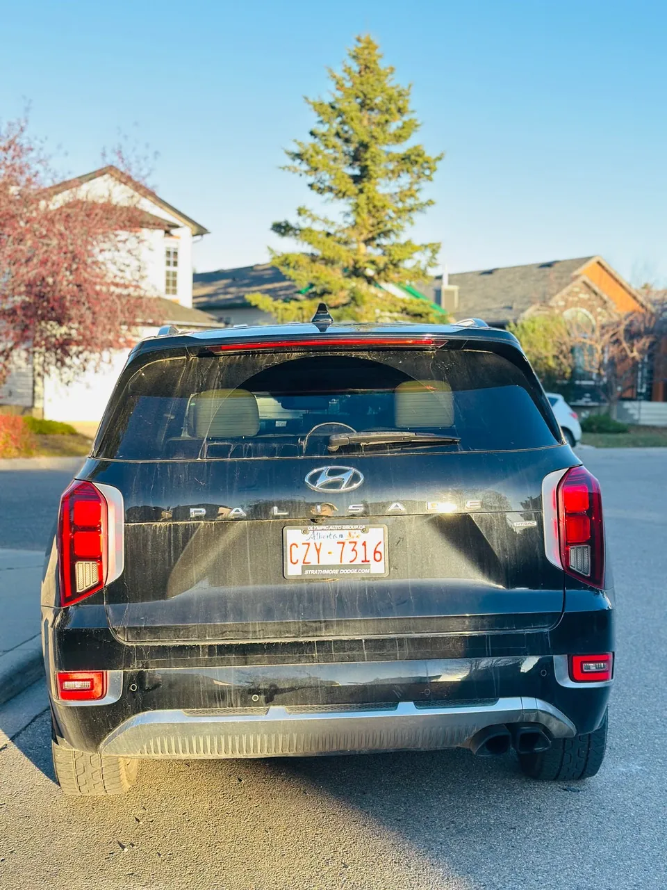 Hyundai Palisade 2021 photo 5
