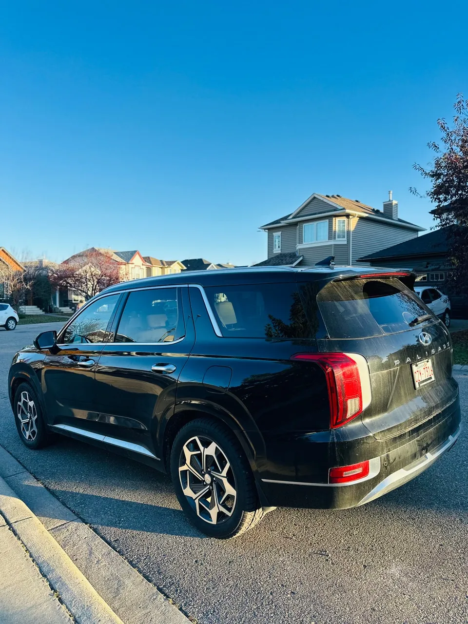 Hyundai Palisade 2021 photo 4
