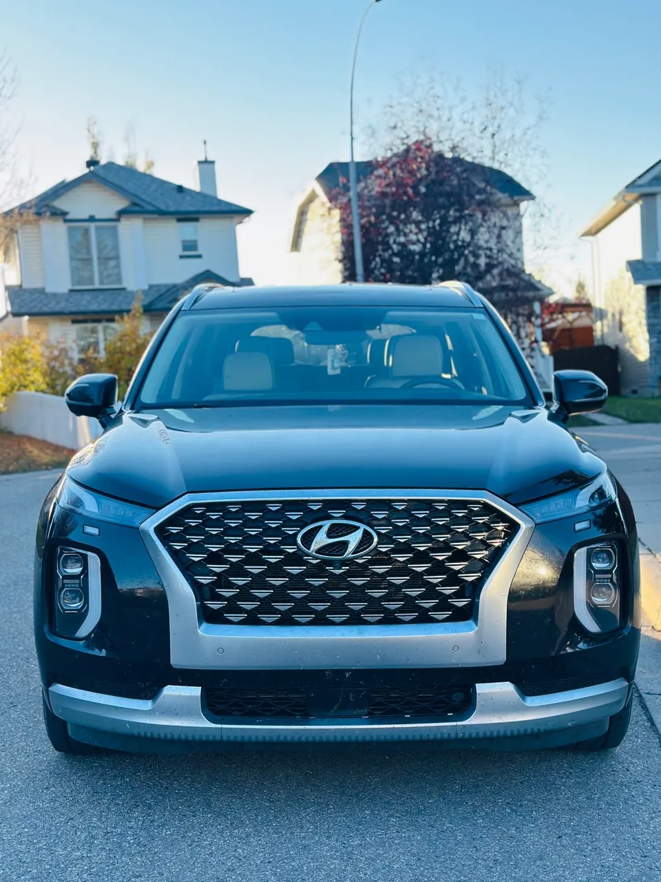 Hyundai Palisade 2021 photo 2