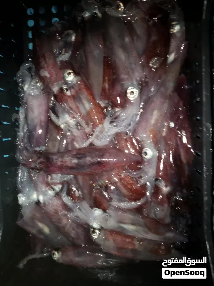 Daewoo Other 2000 photo 5