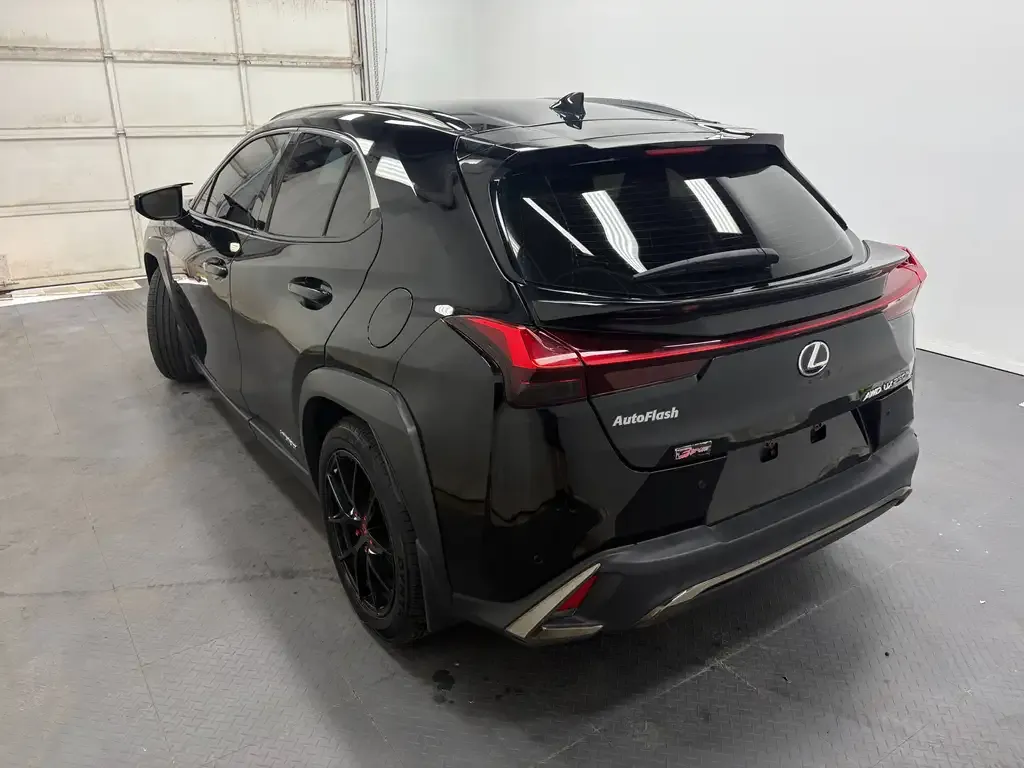 Lexus Ux 2020 photo 5