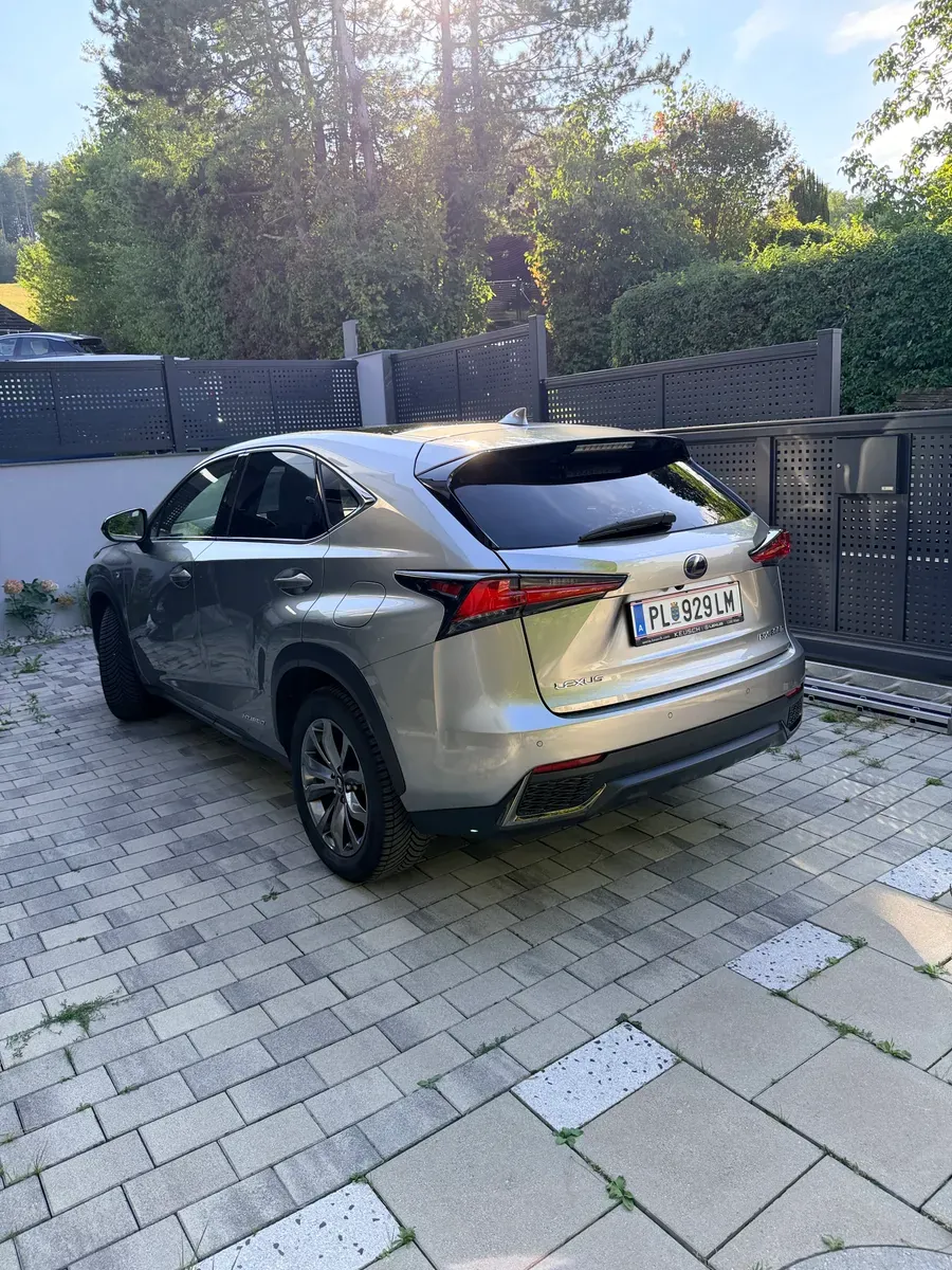 Lexus Nx 2020 photo 3