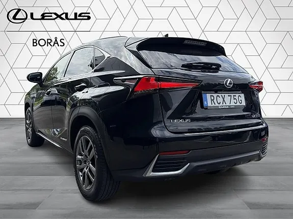 Lexus Nx300H 2020 photo 4