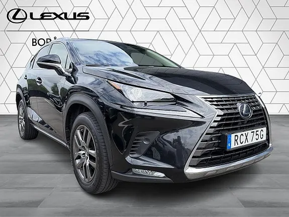 Lexus Nx300H 2020 photo 3