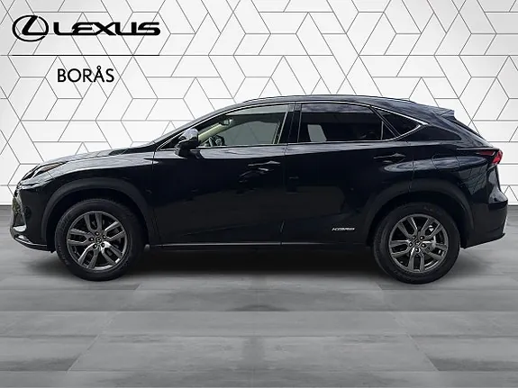 Lexus Nx300H 2020 photo 5
