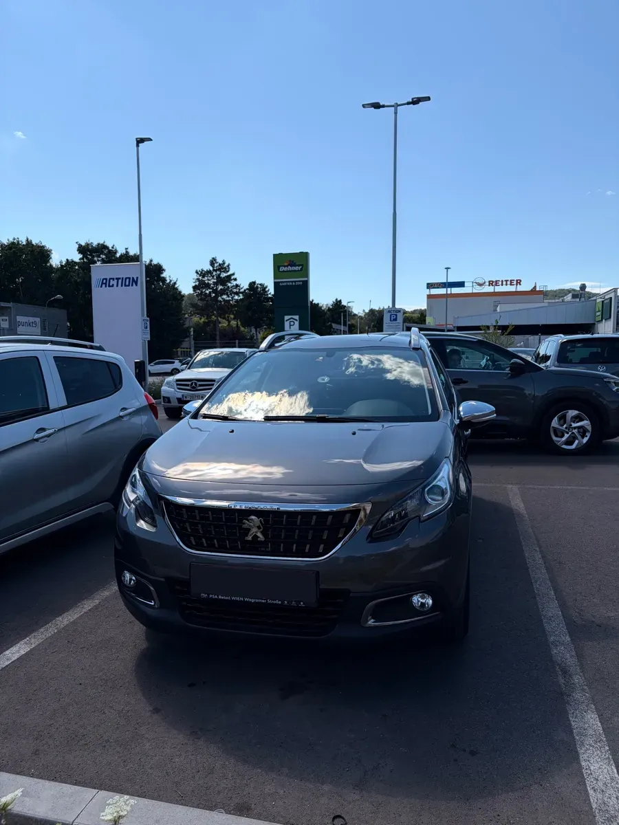 Peugeot 2008 2019 photo 3