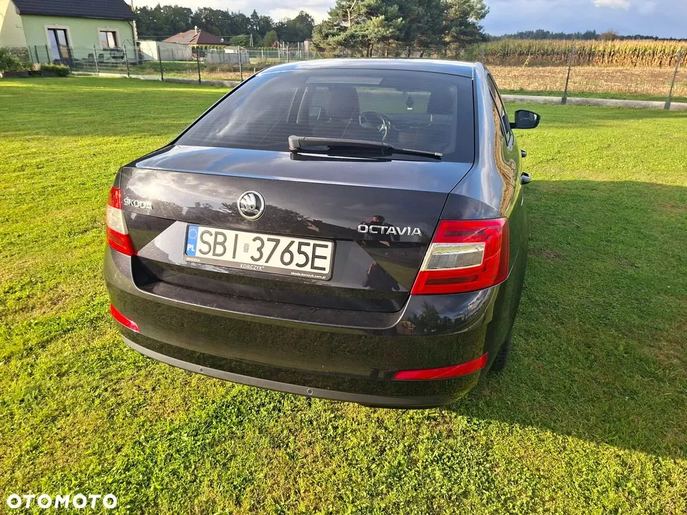 Skoda Octavia 2016 photo 4