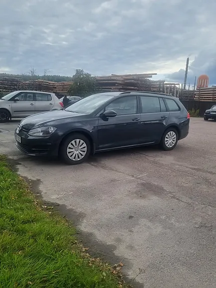 Volkswagen Golf Vii 2014 photo 2