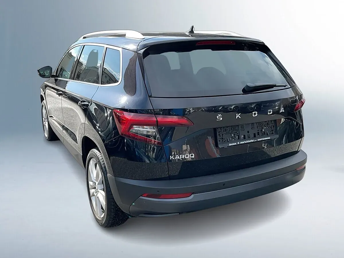 Skoda Karoq 2020 photo 3