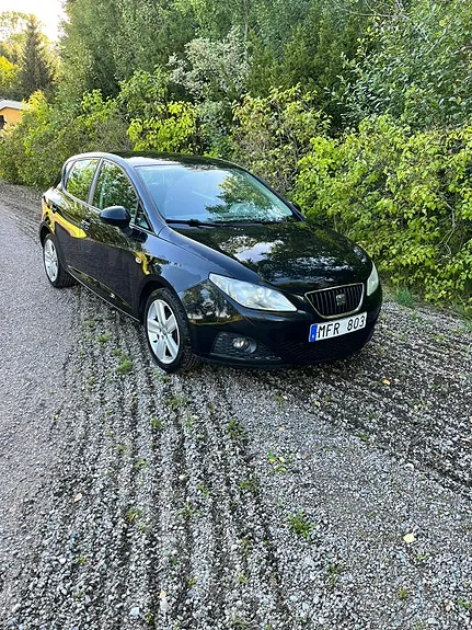 Seat Ibiza 2012 photo 4
