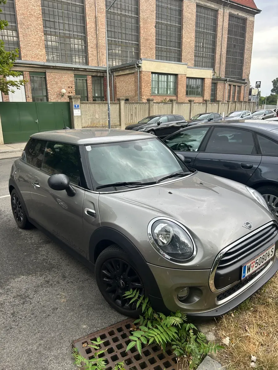 Mini Mini One