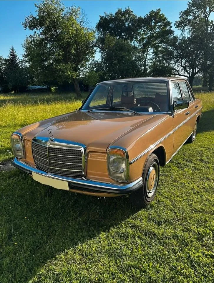 Mercedes-Benz W115