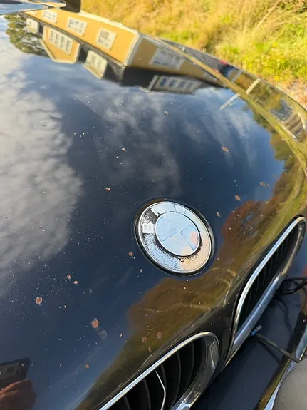 BMW 523I 2000 photo 4