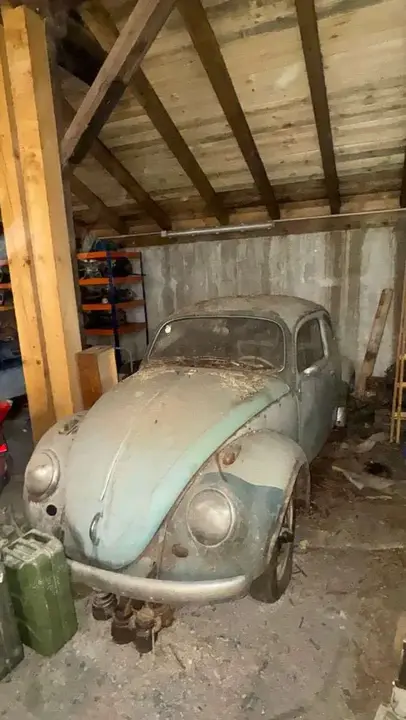 Volkswagen Käfer