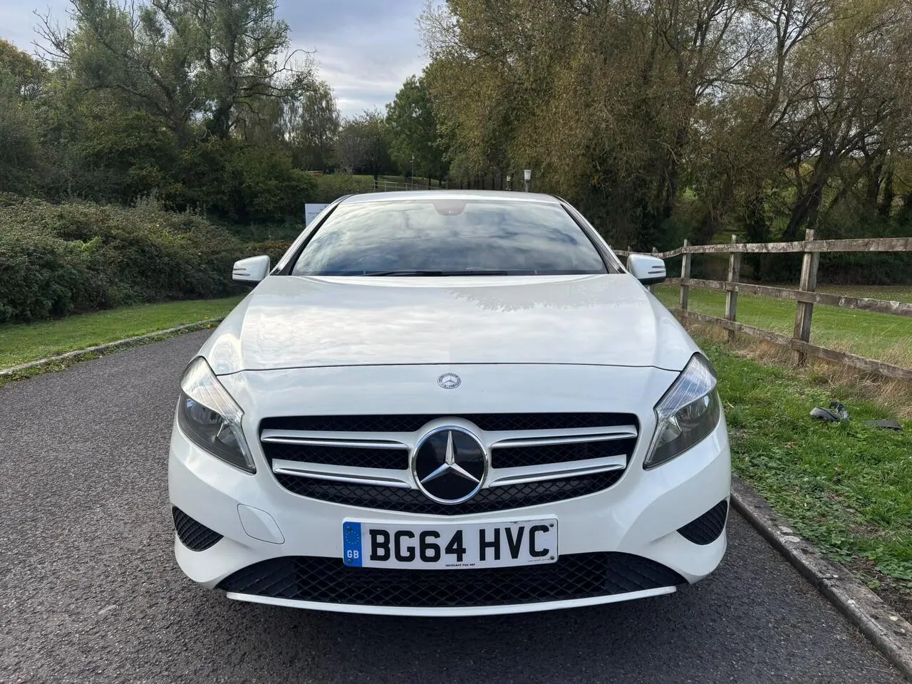 Mercedes-Benz A-Class 2014 photo 2