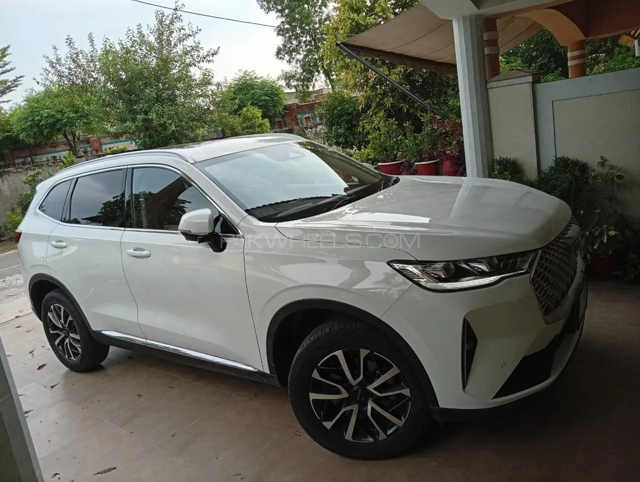 Haval H6