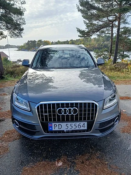 Audi Q5 2016 photo 2
