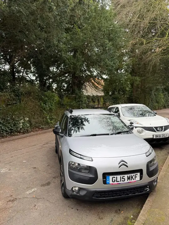 Citroen C4 Cactus 2015 photo 2