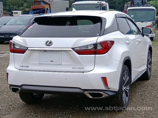 Lexus Rx300 2018 photo 4