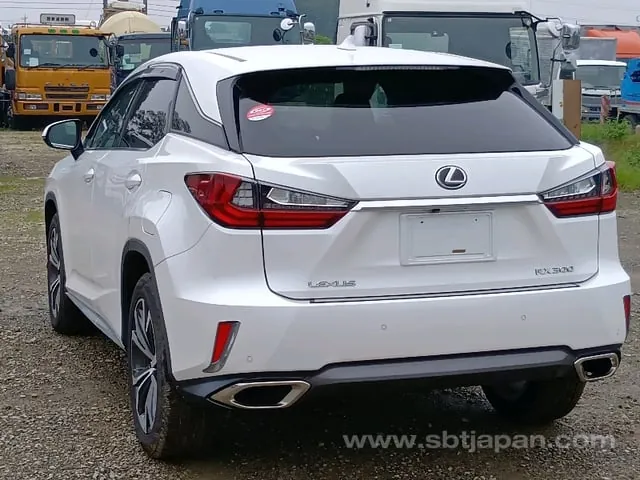 Lexus Rx300 2018 photo 3