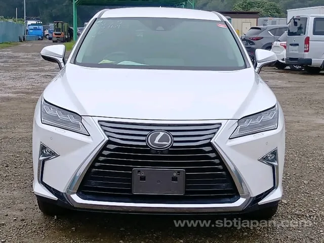 Lexus Rx300 2018 photo 5