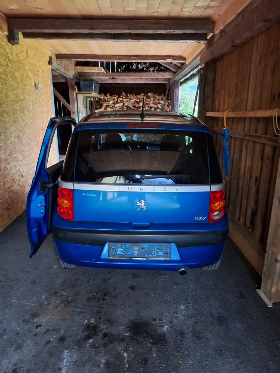 Peugeot 1007 2005 photo 2