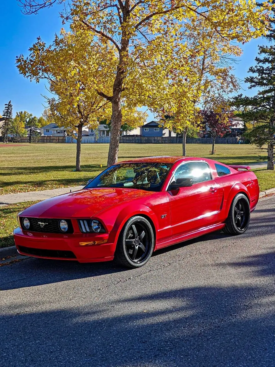 Ford Mustang 2005 photo 2