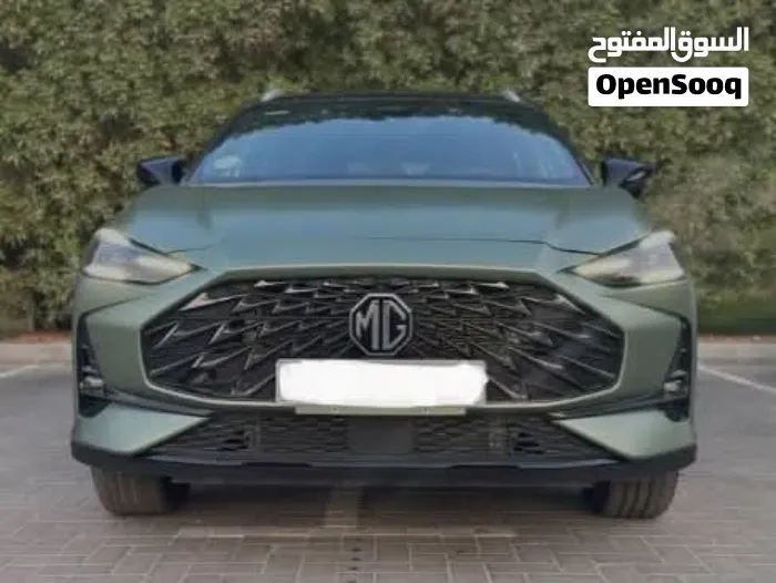MG Mg One