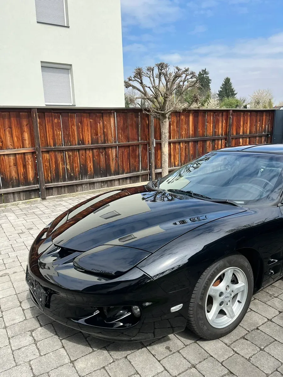 Pontiac Firebird 1998 photo 3