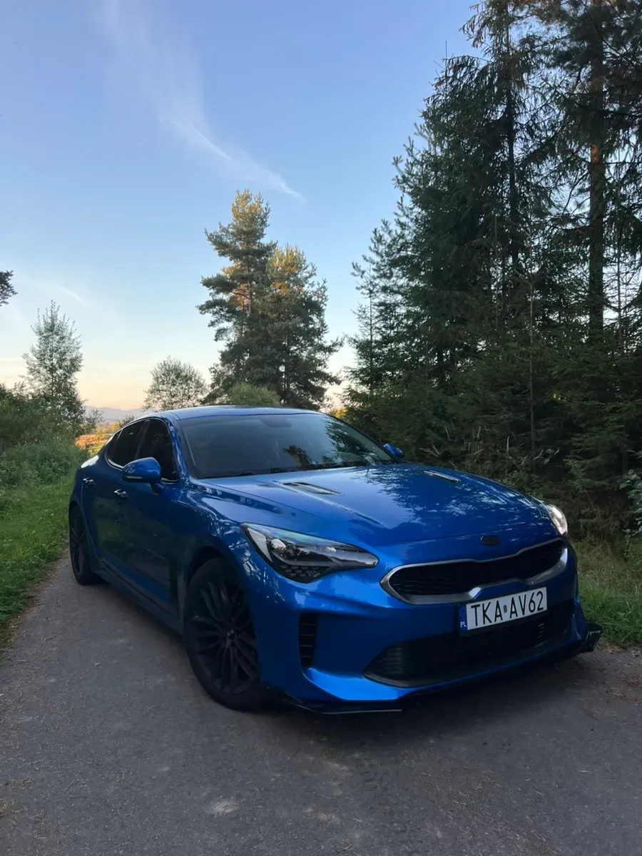 Kia Stinger 2018 photo 2