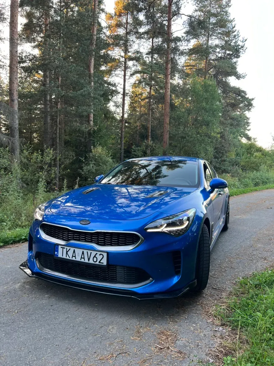 Kia Stinger 2018 photo 3