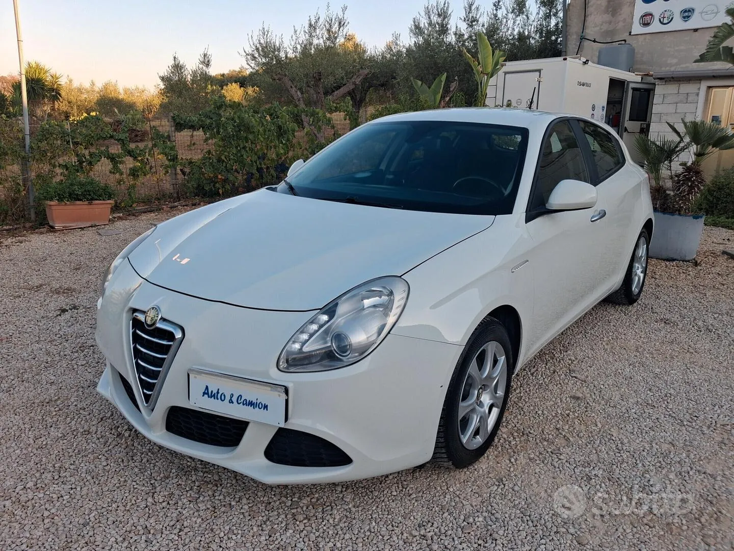 Alfa Romeo Giulietta