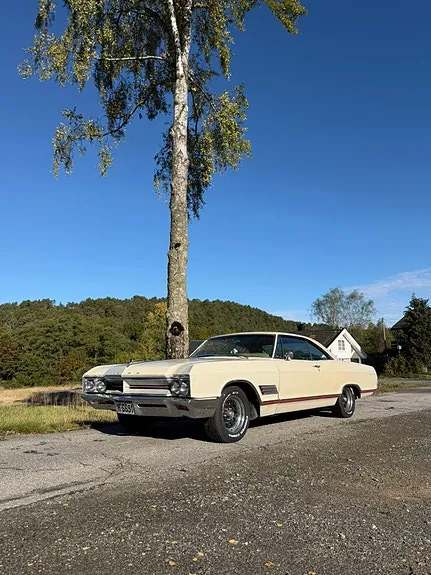 Buick Wildcat 1966 photo 4
