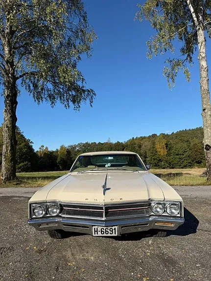 Buick Wildcat 1966 photo 3