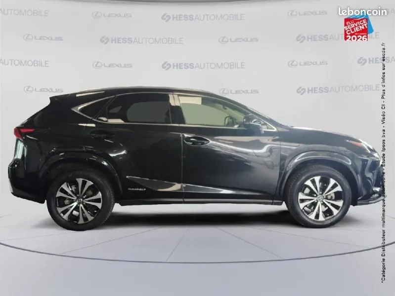 Lexus Nx 2021 photo 4