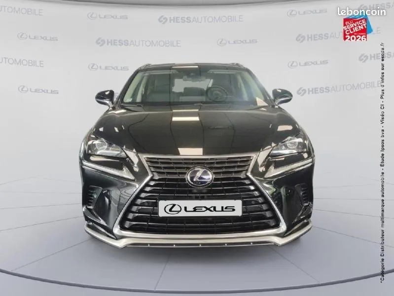Lexus Nx 2021 photo 2