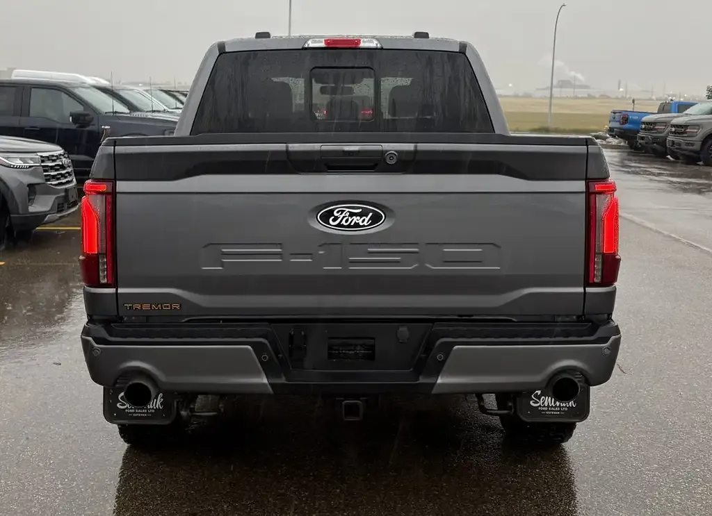 Ford F-150 2024 photo 4