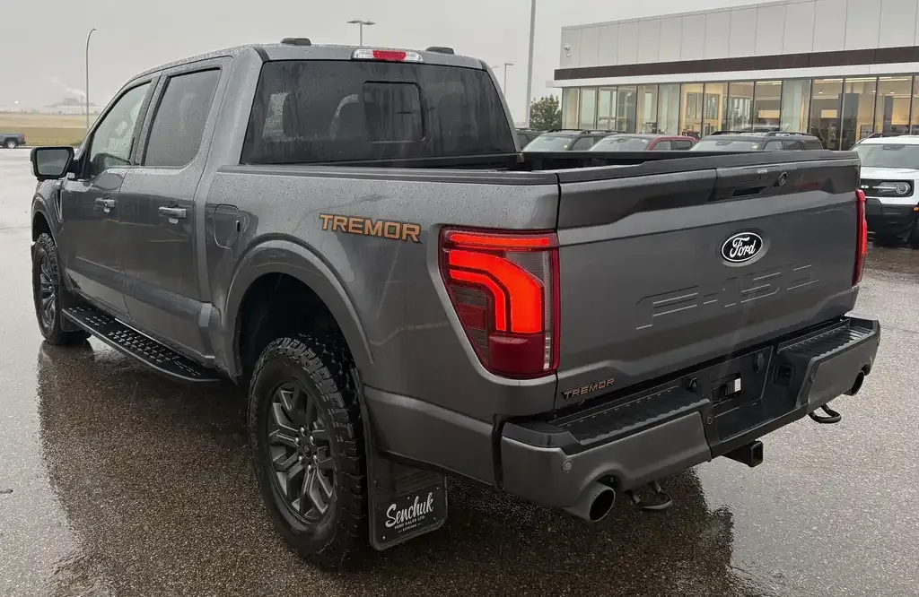 Ford F-150 2024 photo 3