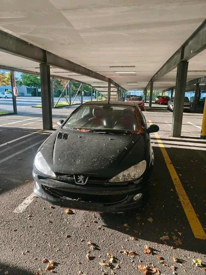 Peugeot 206 Cc